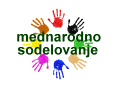 Mednarodno sodelovanje