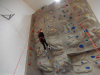 dscn9186 dscn9186